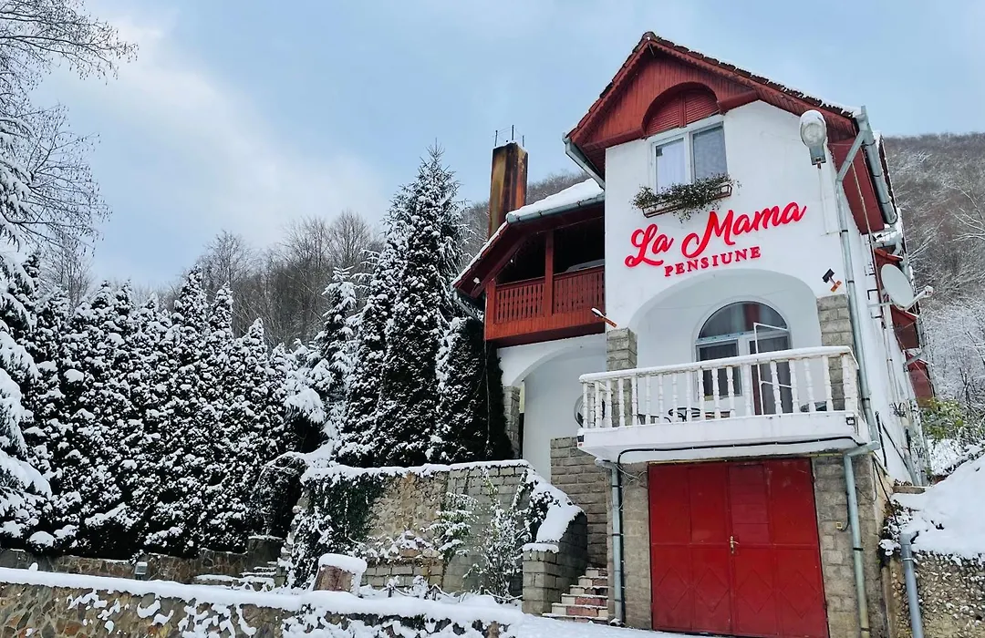 La Mama-1